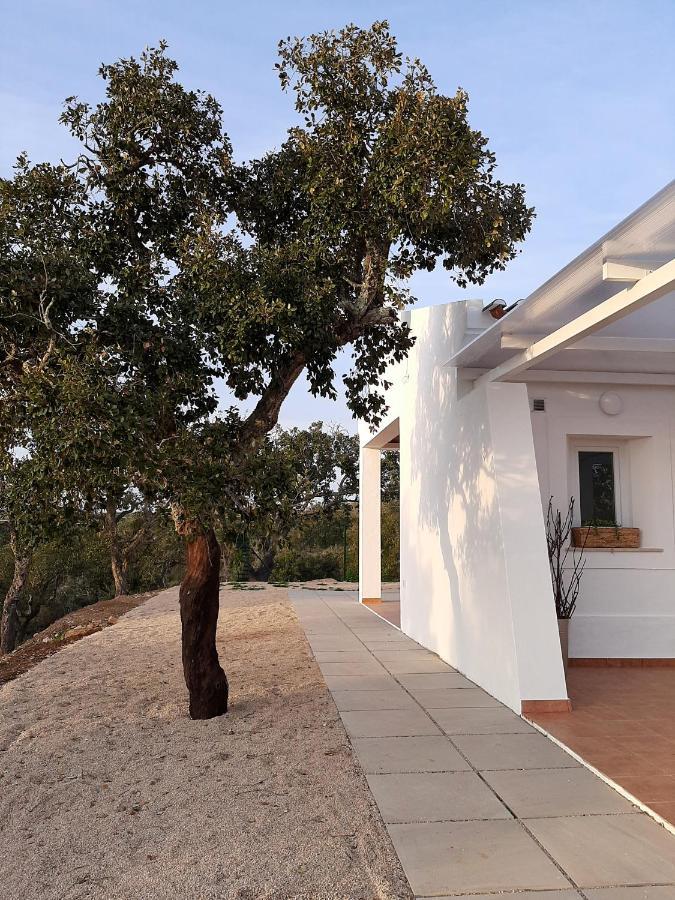 Monte Vale Manhas By Hi Alentejo Villa Sao Bartolomeu da Serra Bagian luar foto