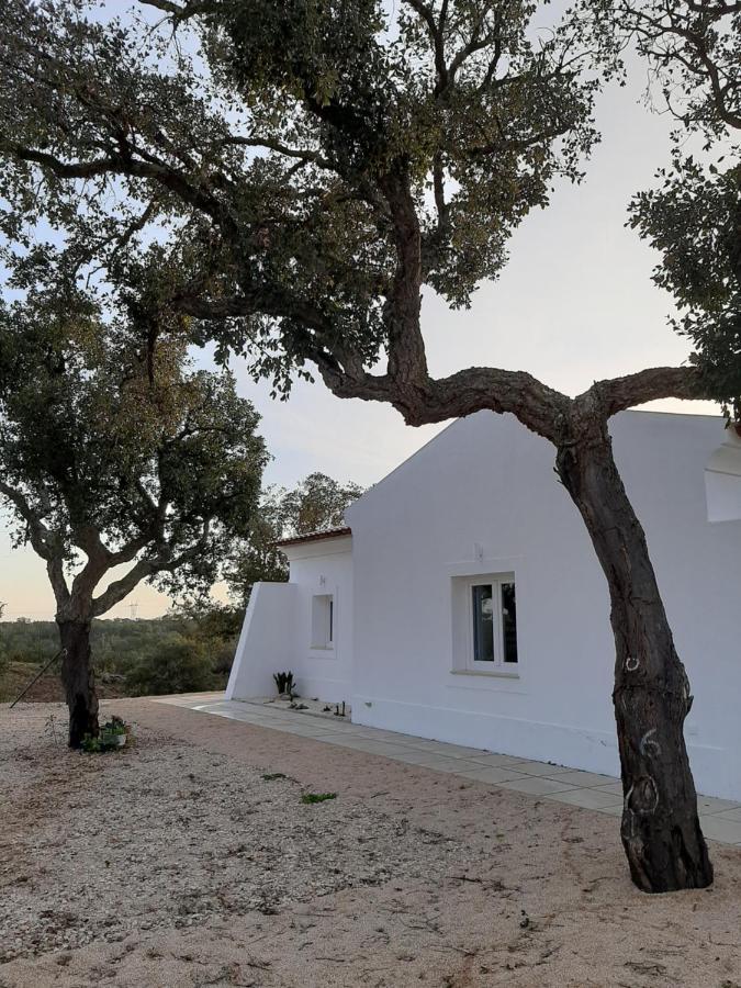 Monte Vale Manhas By Hi Alentejo Villa Sao Bartolomeu da Serra Bagian luar foto